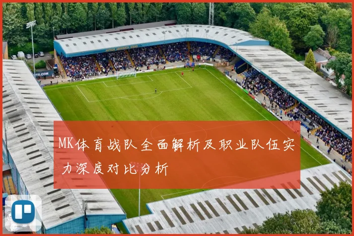 MK体育战队全面解析及职业队伍实力深度对比分析