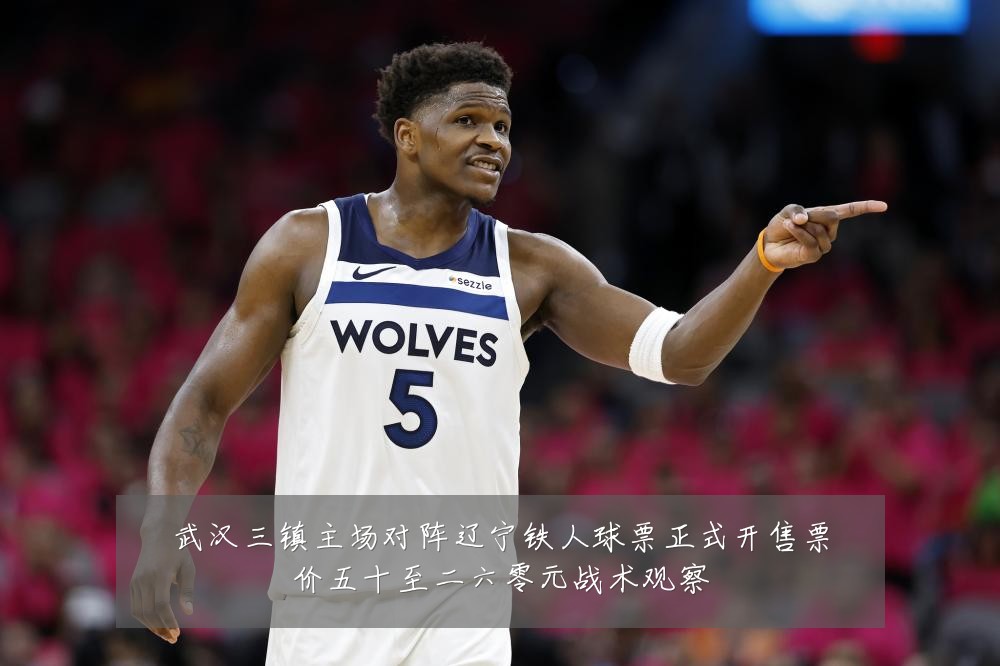 武汉三镇主场对阵辽宁铁人球票正式开售票价五十至二六零元战术观察